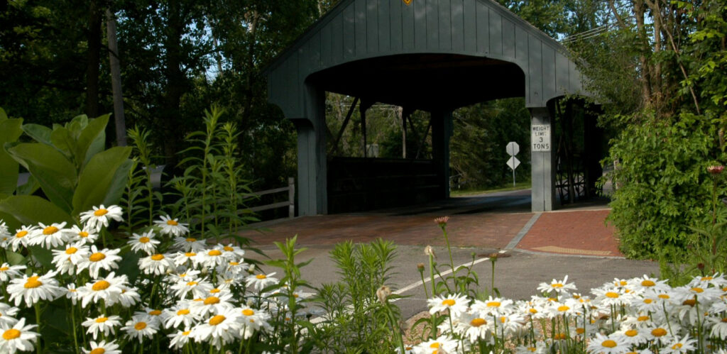Long Grove Homes for Sale